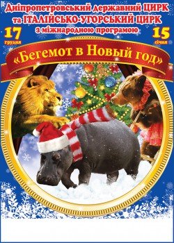 Бегемот в Новый год. Дніпро